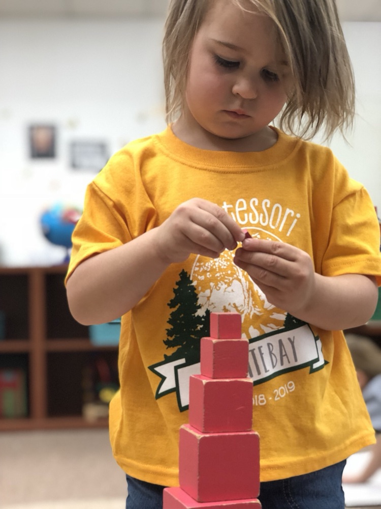 Early Childhood program — Ages 2–3